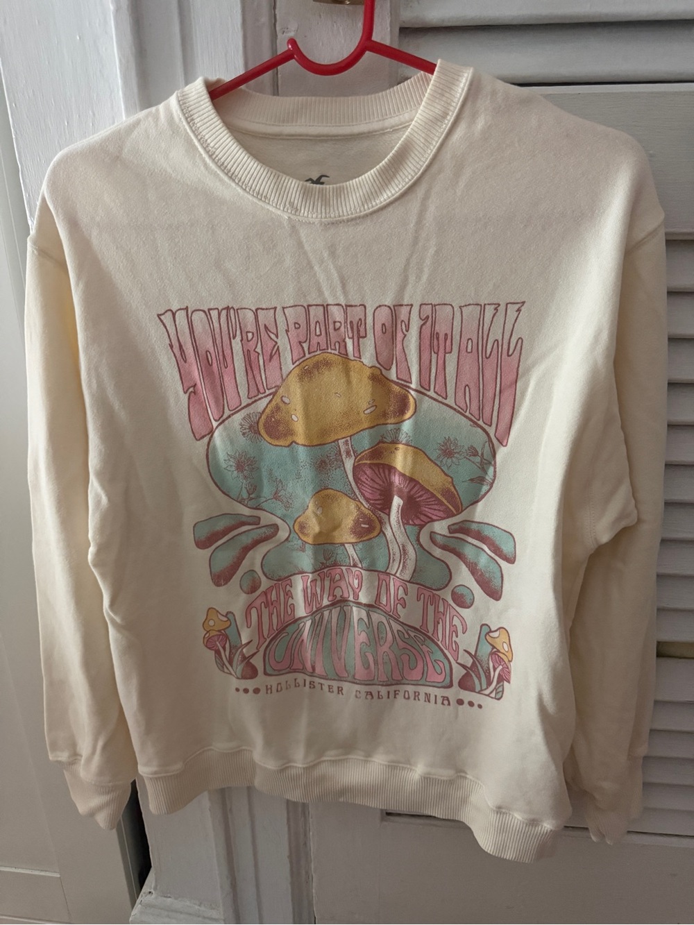 Hollister sweatshirt size xxs but fits like xs